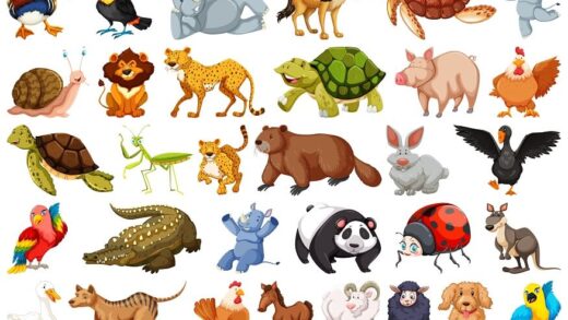 Explore the List of 100 Wild Animals in English