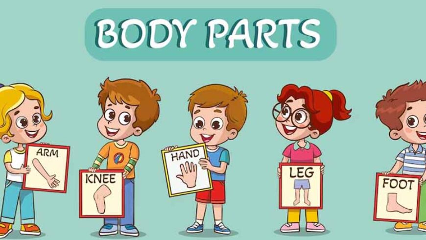 body-parts-games