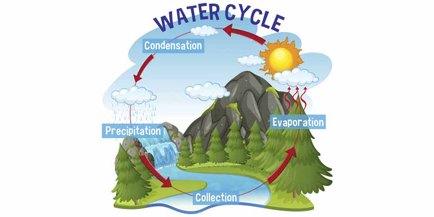 The Water Cycle Explained for Preschoolers