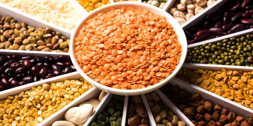 About-pulses-for-kids