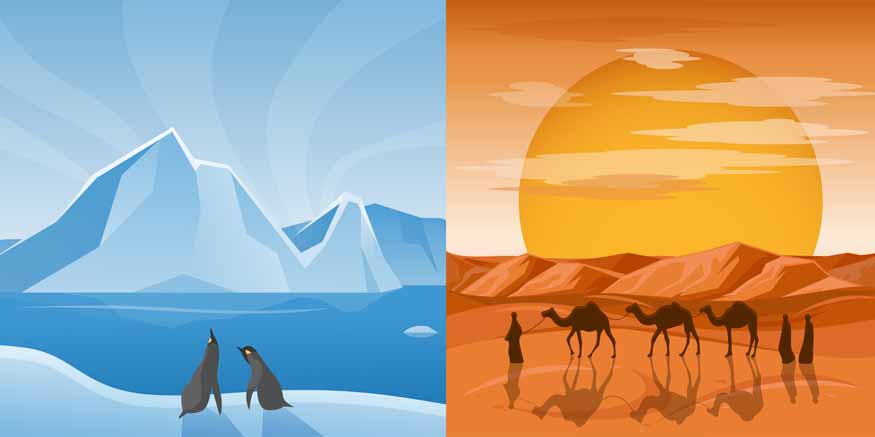Desert Animals and Their Unique Adaptations