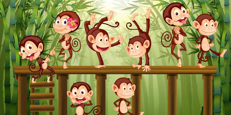 Monkey Facts: Types, Lifespan, Classification & Habitat