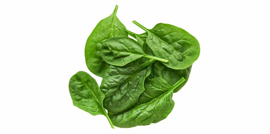Vegetable Names List for Kids