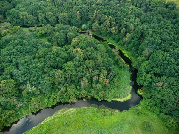 Understanding Ecosystems Types and Their Unique Features