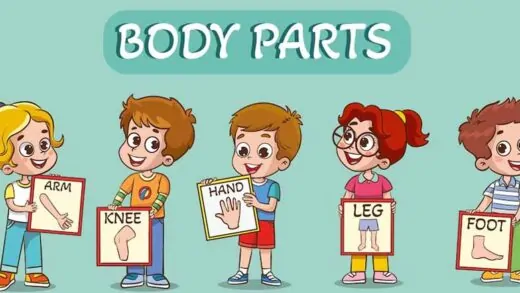 body-parts-games