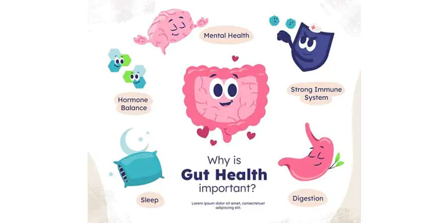 Understanding & Improving Toddler Gut Health