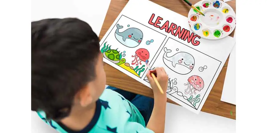 Why Early Childhood Education (ECE) is Important